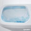 3989_6710_wc_pott_duravit_rimless_45620900A1