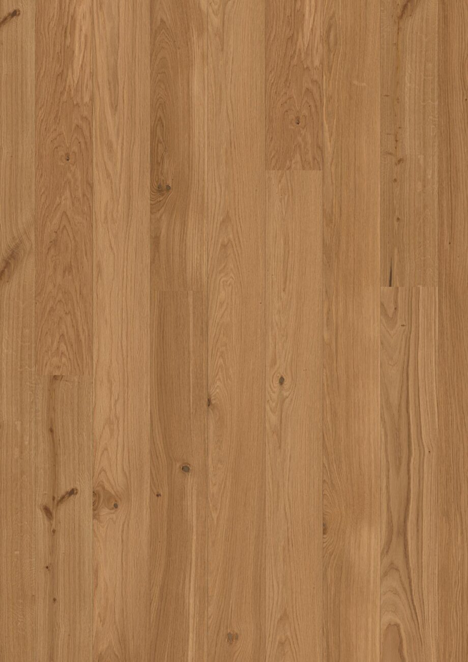 Parkett Bauwerk Casapark Budget Cut tamm 35 harjatud matt lakk naturaalse tamme tooni ja kergelt rustikaalse sorteeringuga.
