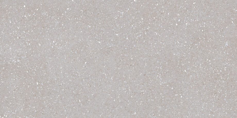 017.869.0183.14236-1 Marmorefektiga matt keraamiline põrandaplaat Tau Sassy Silver, 60x120 cm, 10,5 mm, hõbehall, R10, rektifitseeritud