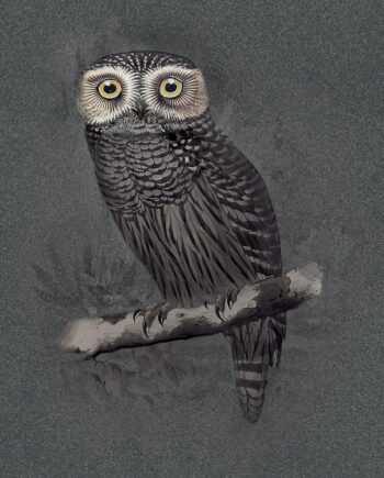 Крупноформатная декоративная керамогранитная панель ABK Moooi Special Edition Hypnotic Owl, 120x280 см, 6 мм, натуральная матовая