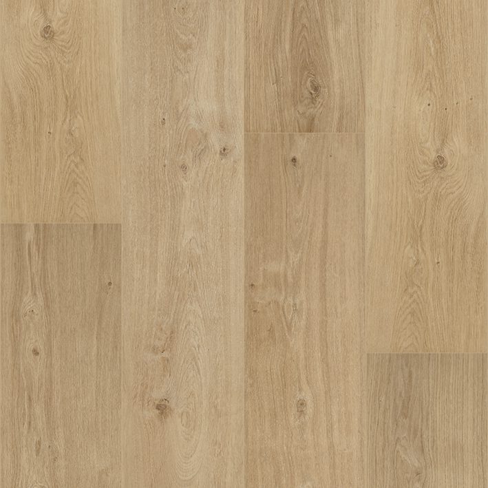 Liimitav vinüülparkett Floorify Gluedown Long Plank Cider FG018