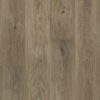 Tugevdatud südamikuga LVT vinüülparkett Floorify Long Plank Cohiba F021 Tugevdatud südamikuga LVT vinüülparkett Floorify Long Plank Cohiba F021