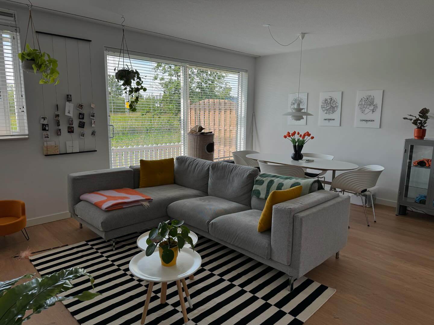 Tugevdatud südamikuga LVT vinüülparkett Floorify XL Plank Frangipane F095
