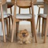 Liimitav vinüülparkett Floorify Gluedown Long Plank Paris Tan FG001