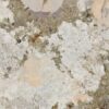abk-sensi-nuance-0014373-1 abk-sensi-nuance-0014373-1