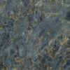 abk-sensi-signoria-0009116_1