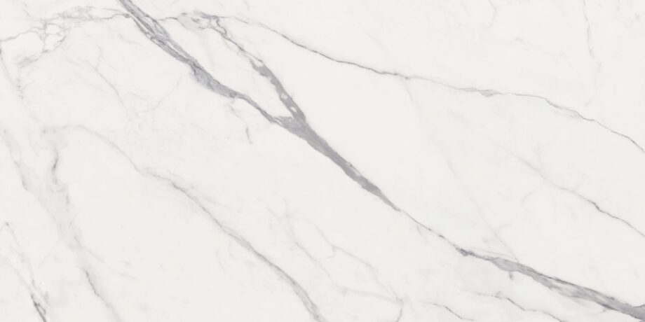 abk-sensi-signoria-0011126_2