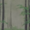 abk-wsod-0009508-1