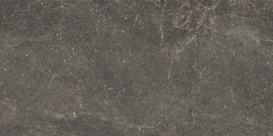 Матовая напольная плитка из керамогранита под камень Alistone Black, 60x120 см, 8 мм, чёрный, R10