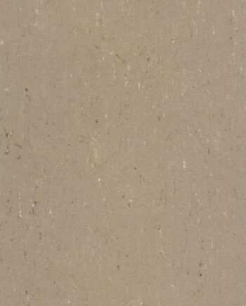 Линолеум Gerflor Colorette 0043 Light Mud