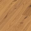 meister-9027_pd400_naturgeoelt_perspektive
