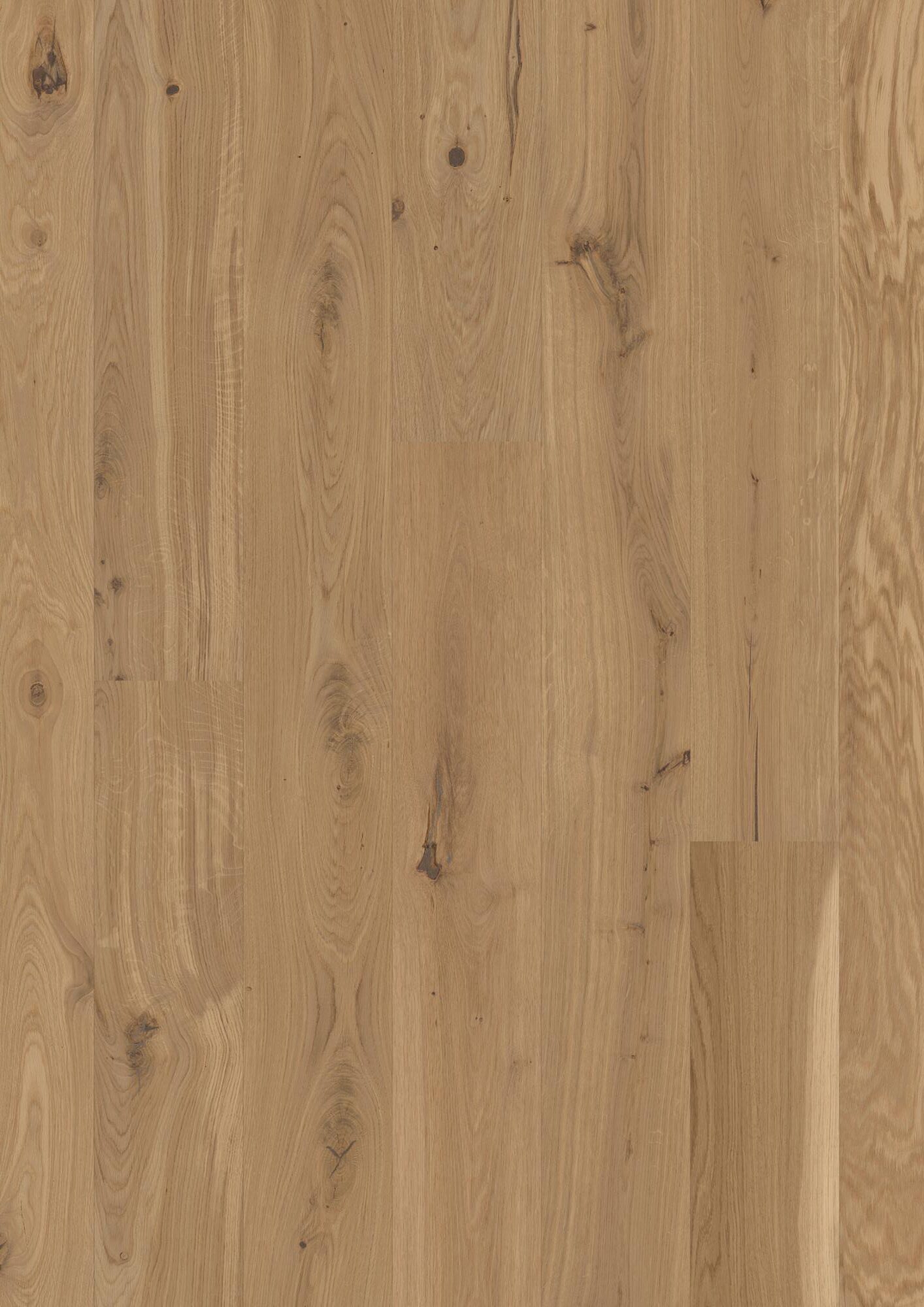 Naturaalparkett Bauwerk Casapark tamm 46 Avorio harjatud õlivaha 181mm