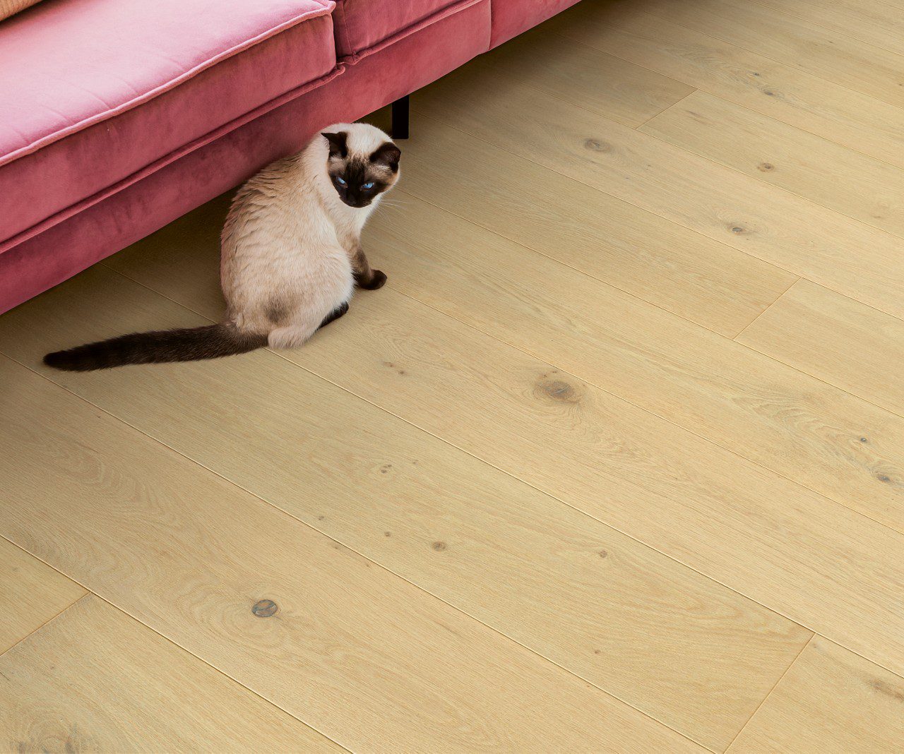 Parkett Quick-Step Cala Pearl White Oak eriti matt lakk, veekindel 220mm