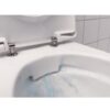 Унитаз Ifö Inspira Art Rimfree, с бачком, с сиденьем Soft Close – фото 4 Унитаз Ifö Inspira Art Rimfree, с бачком, с сиденьем Soft Close – 4