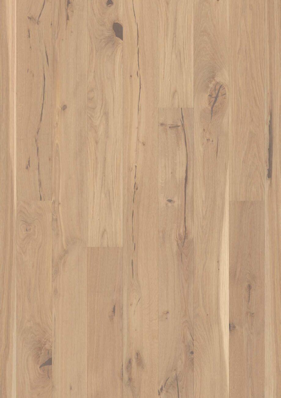 Parkett Bauwerk Casapark Budget Cut tamm 56 Crema harjatud Bprotect ekstra matt lakiga viimistletud heledat tooni ja tugevalt rustikaalse sorteeringuga. Faasid parketilaua kahel pikemal küljel.