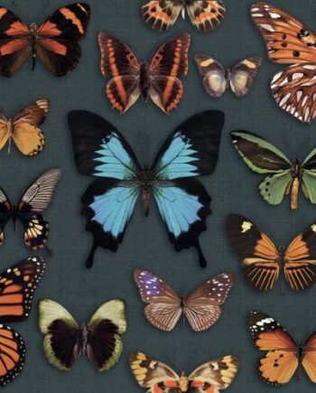 Декоративная керамическая плитка с рисунком ABK Wide&Style Papillon, 60x120 см, 8,5 мм, матовая