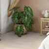 Parkett Tarkett, Grace, Tamm White Lace (valge) TreS, 3-lip, harjatud, Proteco E 3 Tammeparkett Tarkett Grace White Lace TreS magamistoas