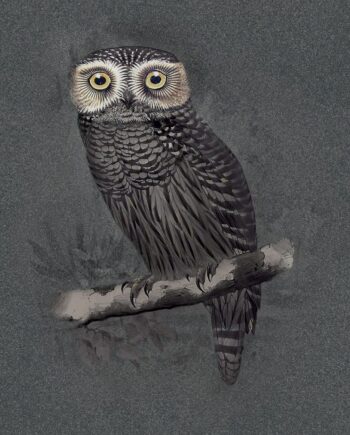 Крупноформатная декоративная керамогранитная панель ABK Moooi Special Edition Hypnotic Owl, 120x280 см, 6 мм, натуральная матовая