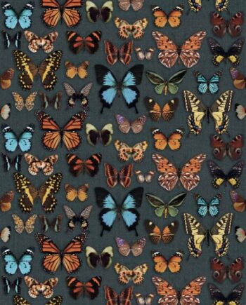 Крупноформатная декоративная плита с рисунком ABK Wide&Style Papillon, 160x320 см, 6 мм, матовая
