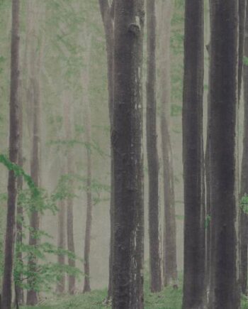 Крупноформатная декоративная плита с рисунком ABK Wide&Style Woods A, 120x280 см, 6 мм, матовая