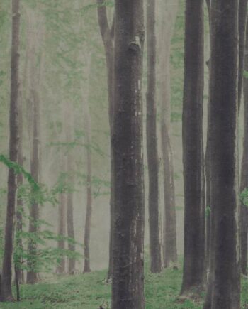 Крупноформатная декоративная плита с рисунком ABK Wide&Style Woods A, 160x320 см, 6 мм, матовая