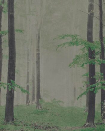 Крупноформатная декоративная плита с рисунком ABK Wide&Style Woods B, 160x320 см, 6 мм, матовая