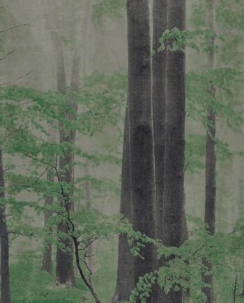 Крупноформатная декоративная плита с рисунком ABK Wide&Style Woods C, 160x320 см, 6 мм, матовая