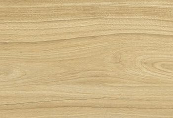 Матовая напольная плитка из керамогранита под дерево Tau Loire Camel, 20x120 см, 9 мм, кэмел, ректифицированная