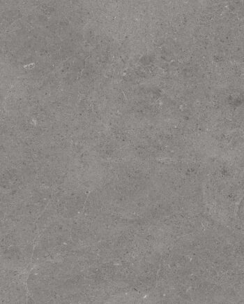 напольная плитка таллинн Tau Serenastone Gray матовый rec