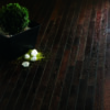 Палуба  Wenge