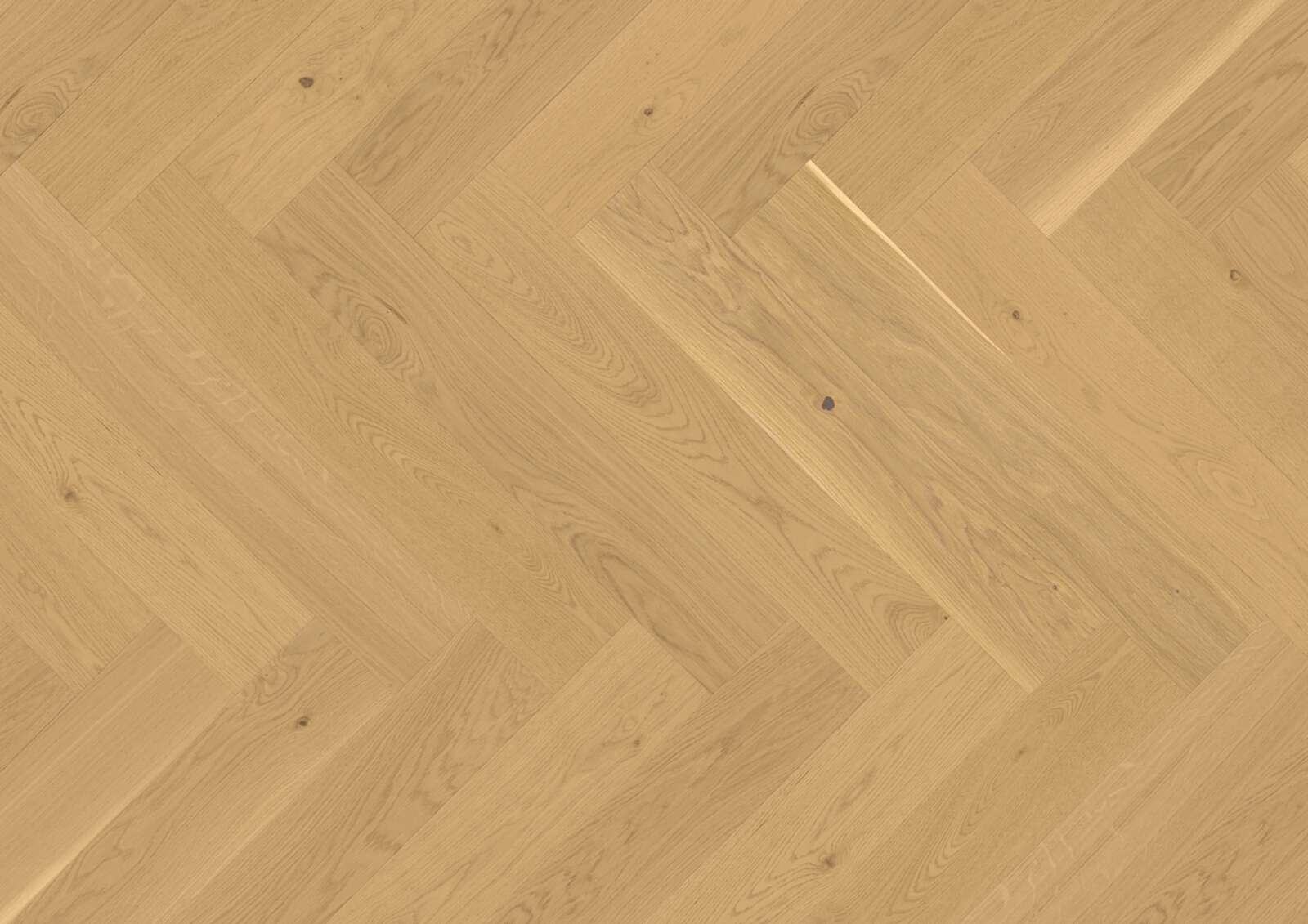 Паркет ёлочкой Bauwerk Vectorpark дуб Avorio 24 масло брашированный