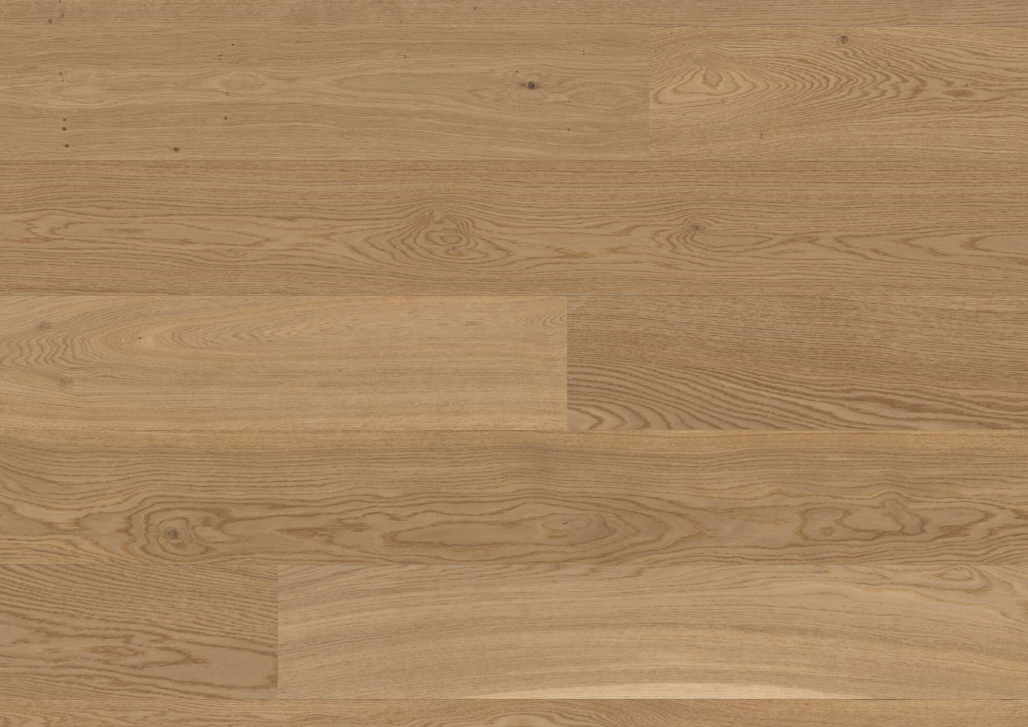 Puitparkett Bauwerk Casapark tamm 24 Avorio harjatud õlivaha 209mm