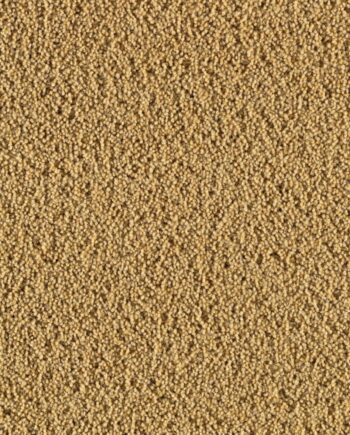Шерстяное ковровое покрытие Creatuft Ceres 3090 Gold