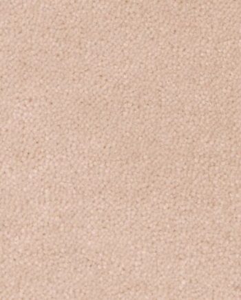 Шерстяное ковровое покрытие Creatuft Sheba 1184 Rice Powder