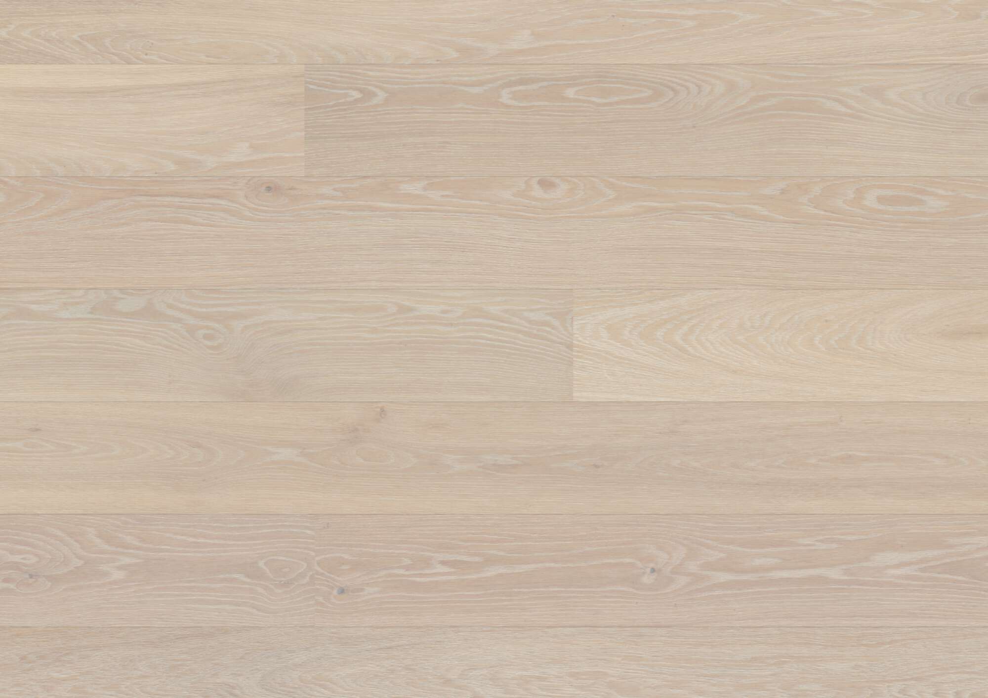Tammeparkett Bauwerk Casapark tamm 24 Farina B-Protect® ultramatt lakk 181mm