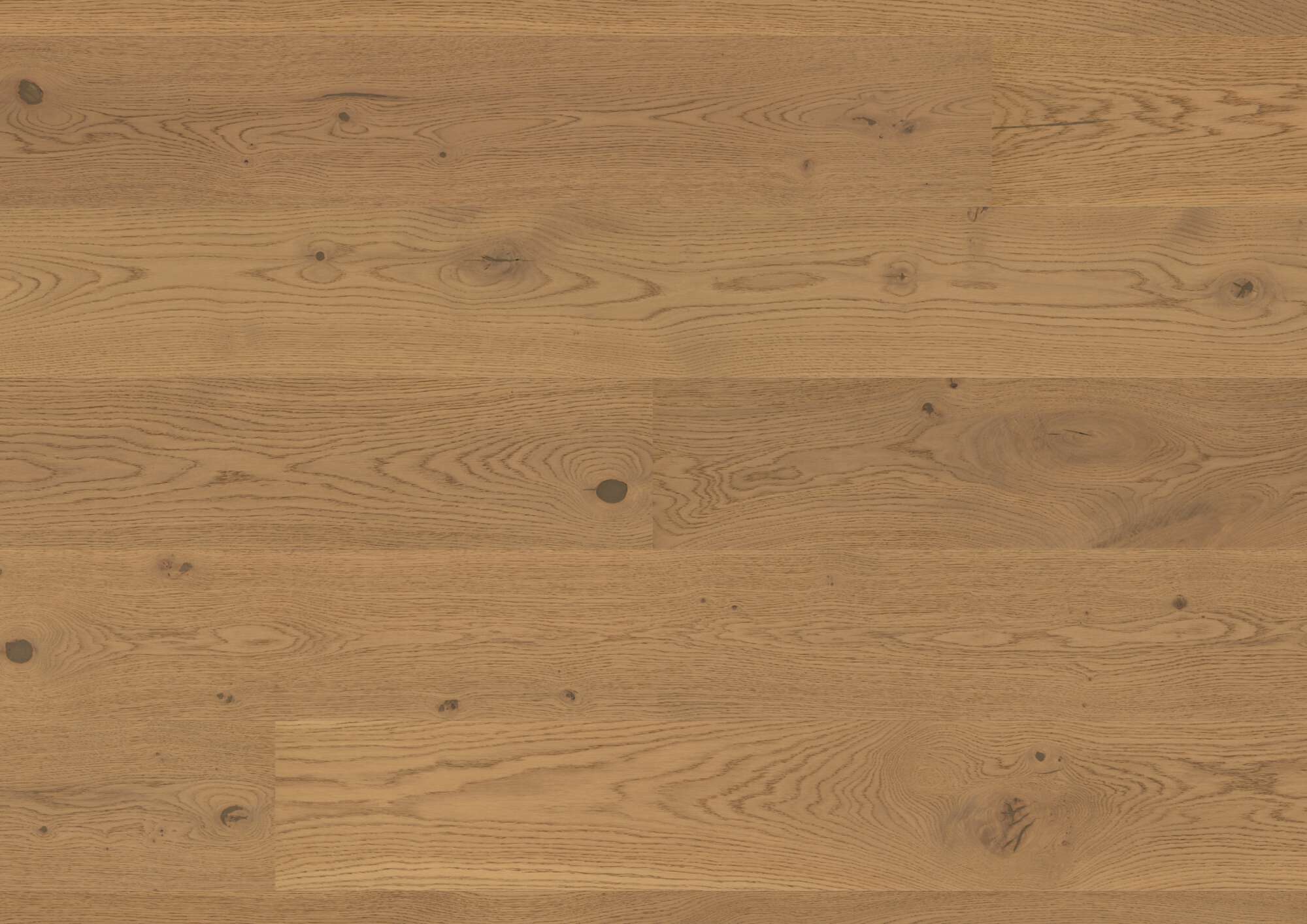 Tammeparkett Bauwerk Casapark tamm 46 Mandorla B-Protect® ultramatt lakk 209mm